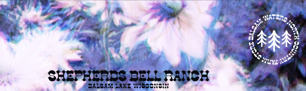 User banner image
